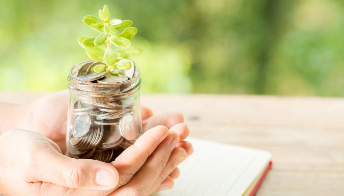 Transform Your Home into an Investment